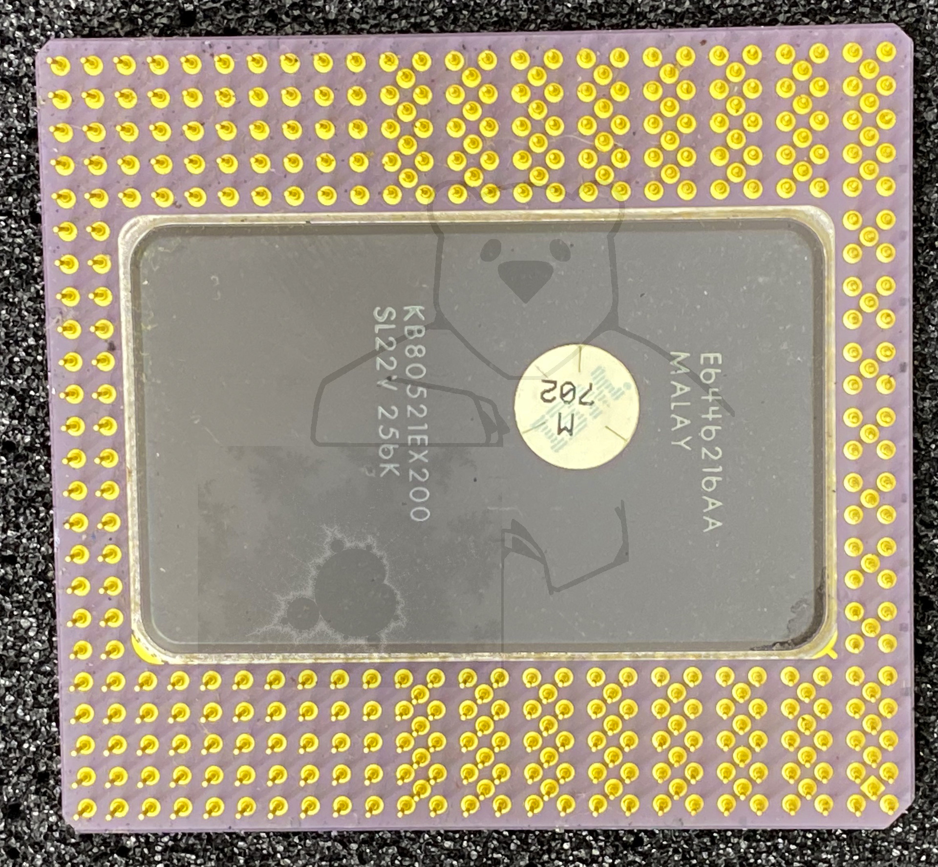Intel® Pentium® Pro - Stiftleiste